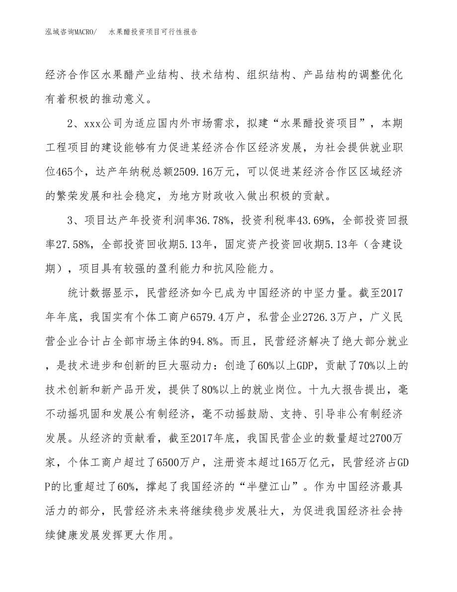 水果醋投资项目可行性报告(园区立项申请).docx_第5页