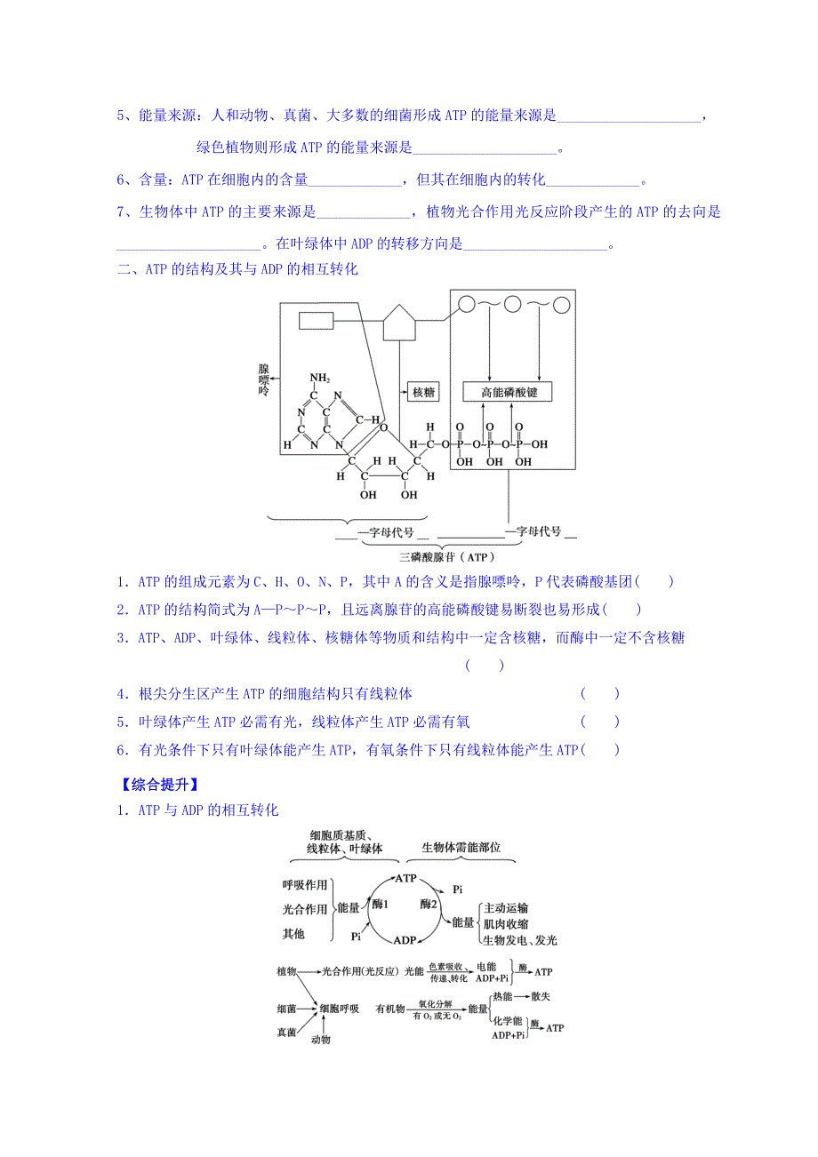 广东省惠阳区中山中学高三生物总复习学案：52 《ATP》 Word缺答案.doc_第2页