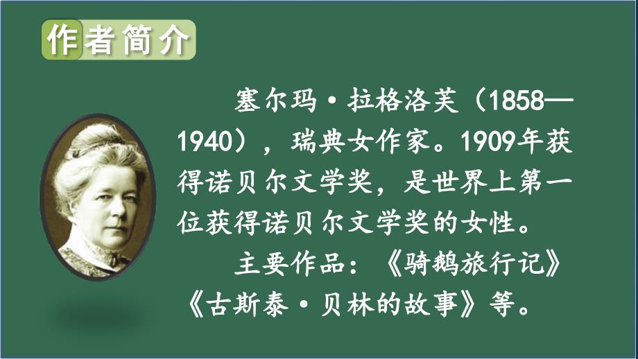 新人教六年级下语文6骑鹅旅行记（节选）教学课件_第4页