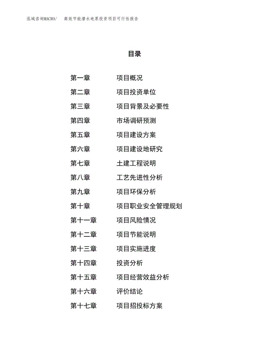 高效节能潜水电泵投资项目可行性报告(园区立项申请).docx_第1页