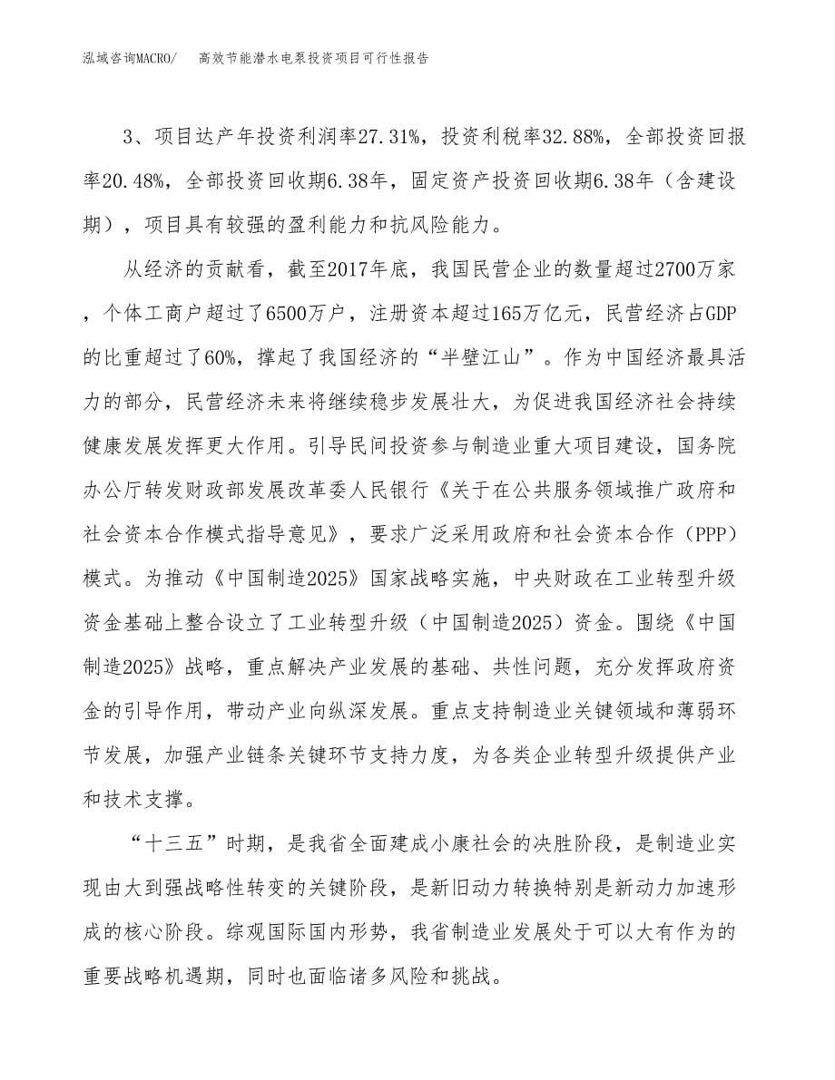 高效节能潜水电泵投资项目可行性报告(园区立项申请).docx_第5页