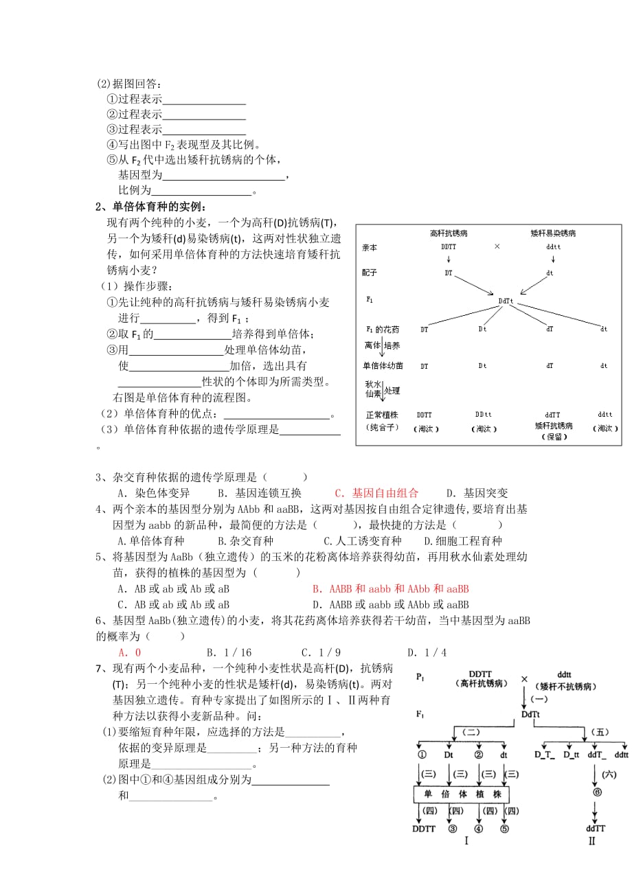 广东省高明实验中学人教高中生物必修二学案：第6章第1节杂交育种和诱变育种（1） .doc_第2页