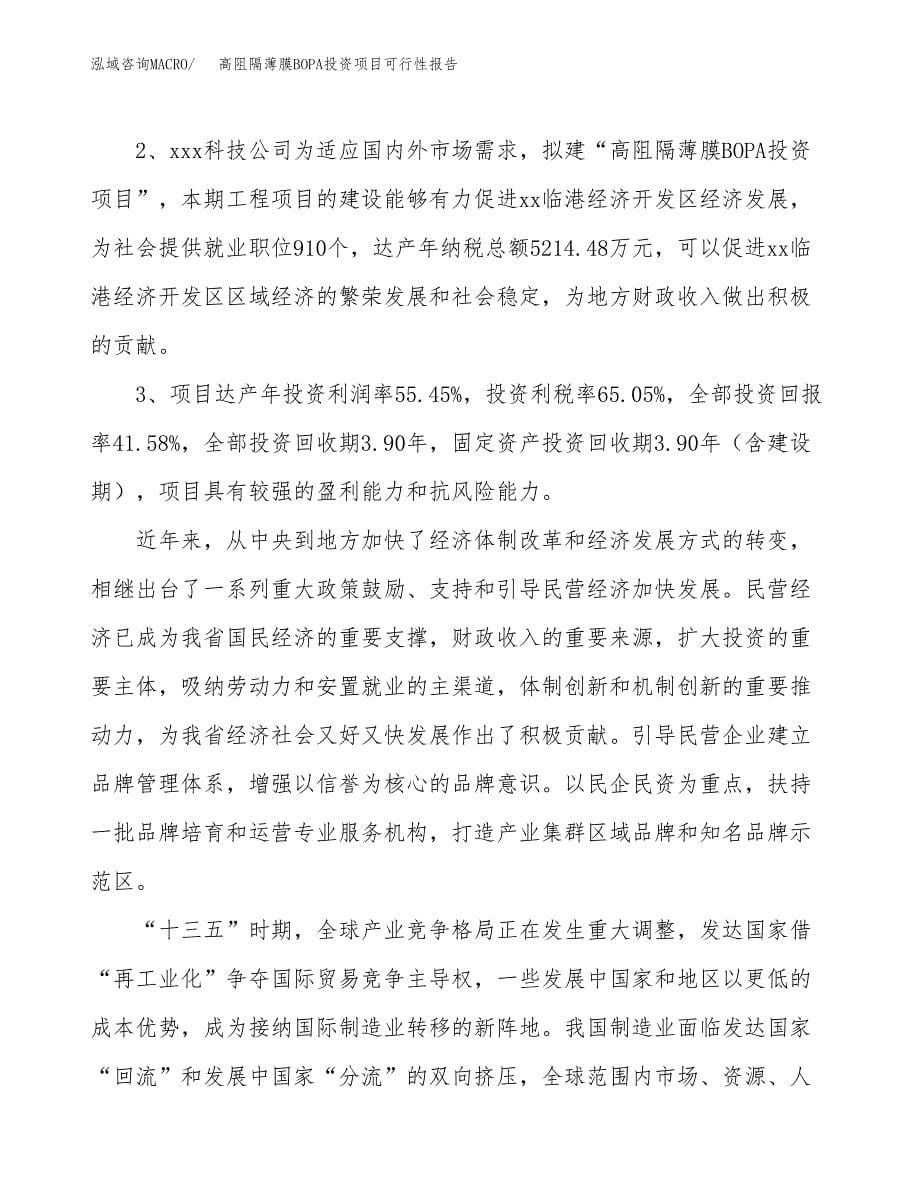 高阻隔薄膜BOPA投资项目可行性报告(园区立项申请).docx_第5页