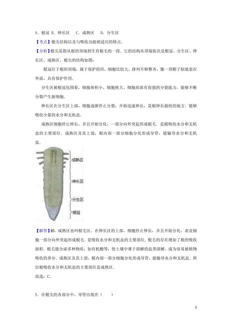 八年级生物上册第四单元物种的延续第一章绿色开花植物的一生4.1.5根的结构和功能同步练习卷 (2)_第5页