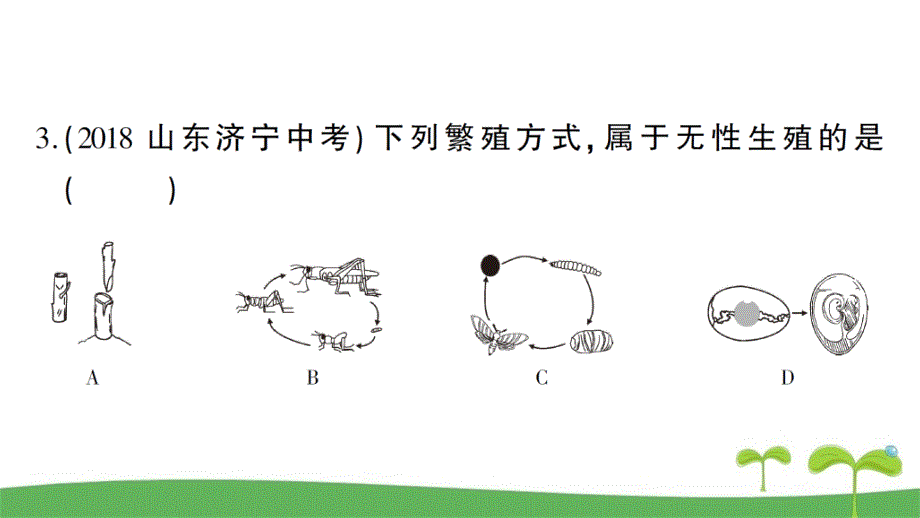 人教版八年级生物下第七单元第一章检测卷含答案课件_第4页