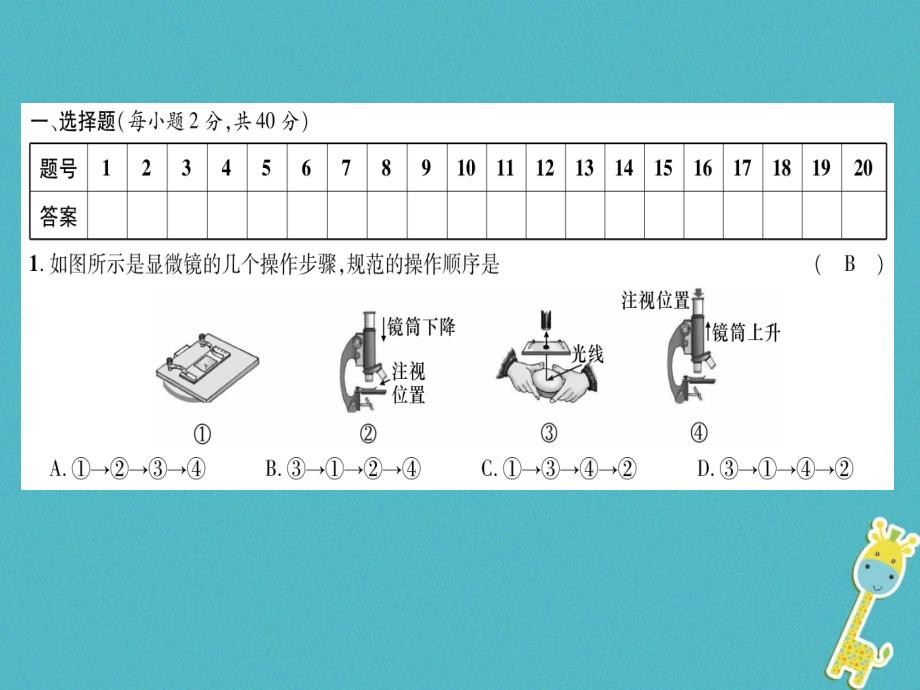 2019年七年级生物上册 第二单元　生物体的结构层次达标测试课件 （新版）新人教版_第2页