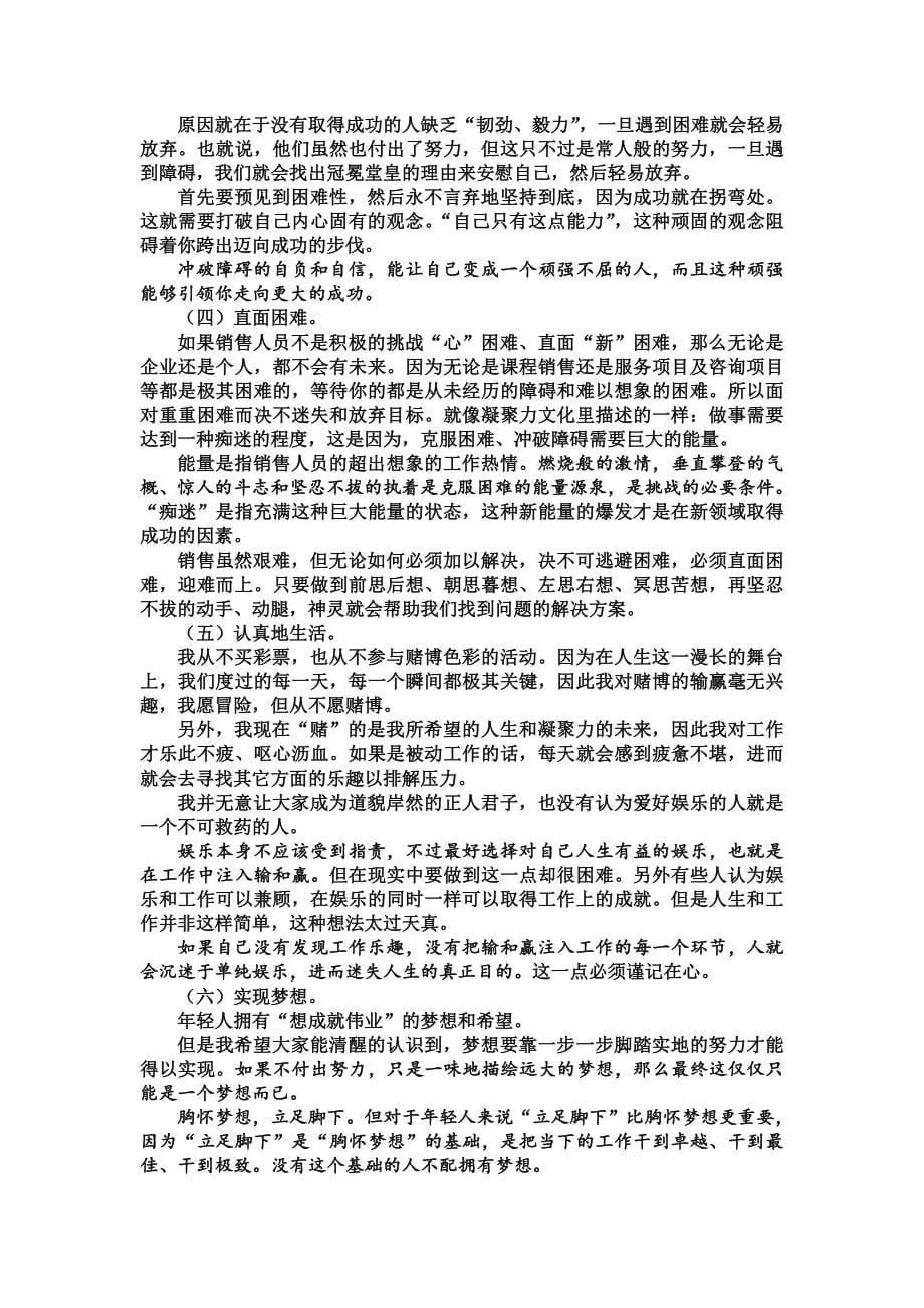 销售体系建立与考核凝聚力_第5页