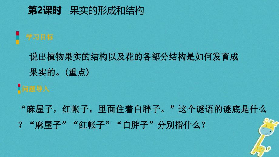 2019年七年级生物上册 第三单元 第五章 第五节 植物的开花和结果（第2课时 果实的形成和结构）课件 （新版）苏教版_第3页