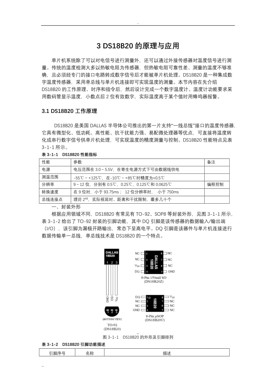 DSB的原理与应用_第1页