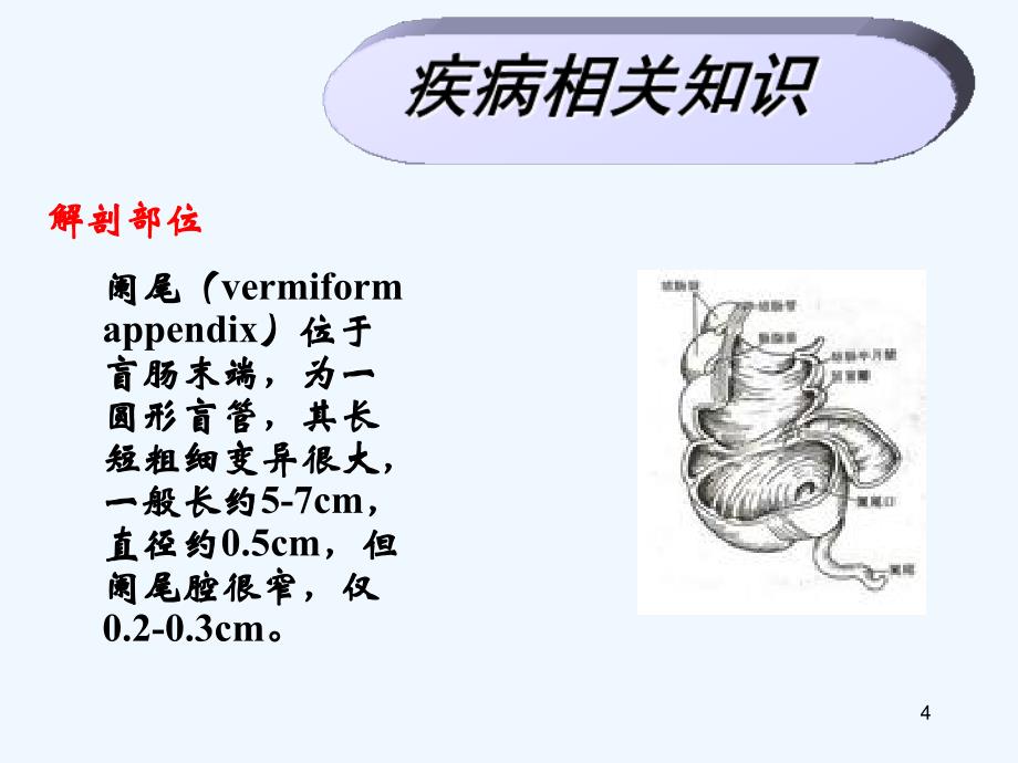 阑尾炎手术的配合_第4页