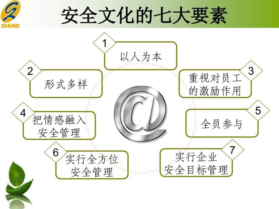 【精编】企业安全文化培训课件_第5页