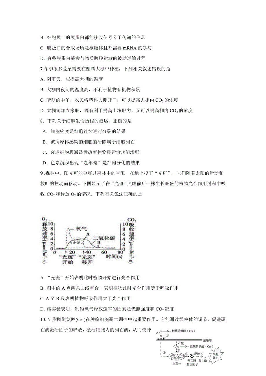 湖北省鄂州市华容高级中学2020届高三上学期第四次月考生物试卷Word版_第2页