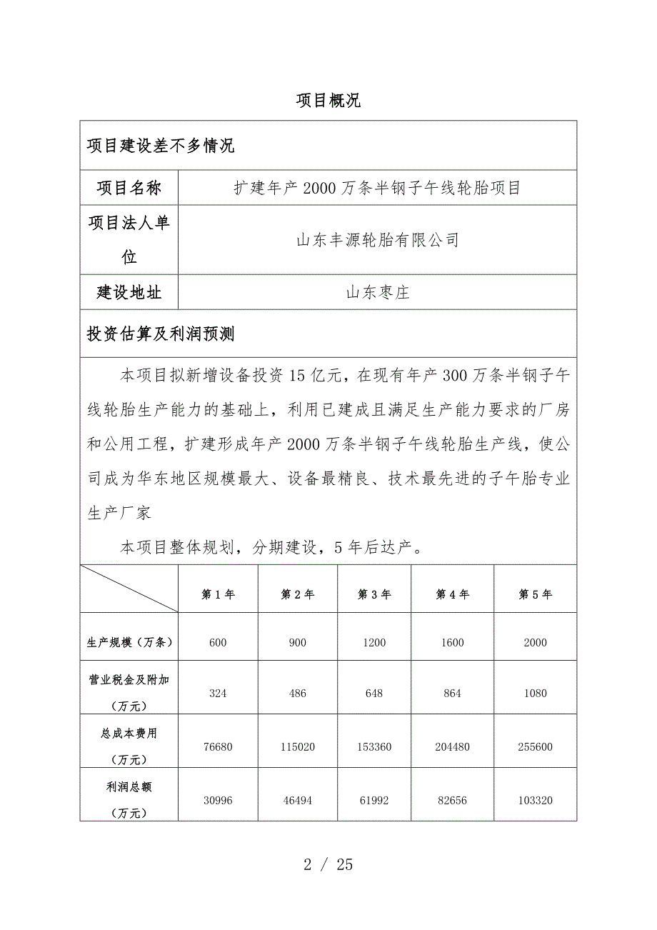 子午线轮胎项目策划建议书范本_第2页