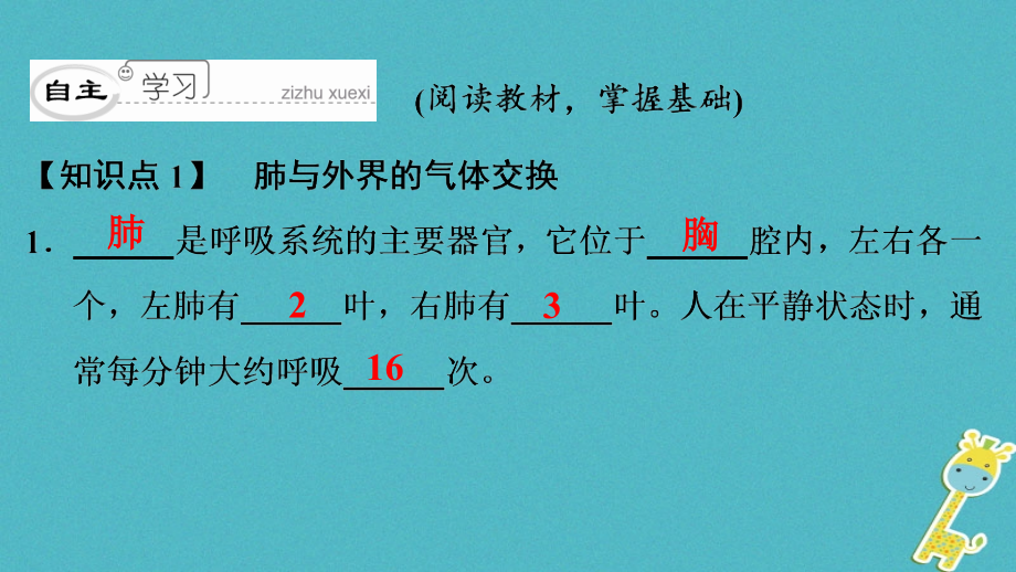 2019年七年级生物下册 第四单元 第三章 第二节 发生在肺内的气体交换课件 （新版）新人教版_第4页