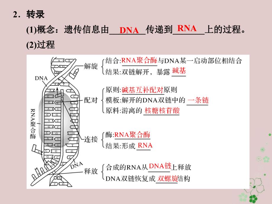 2017-2018学年高中生物 第三章 遗传的分子基础 第14课时 遗传信息的表达——RNA和蛋白质的合成同步备课课件 浙科版必修2_第4页