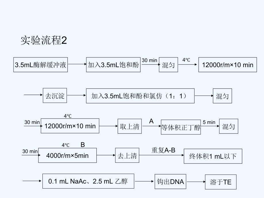 分子生物学学生实验_第4页