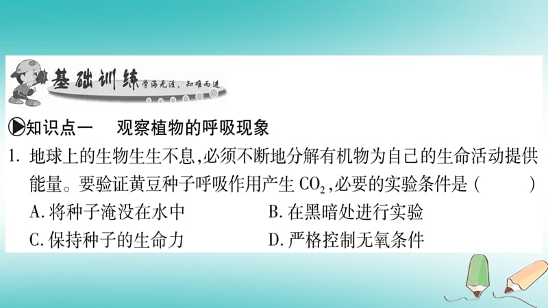 2019年七年级生物上册 第3单元 第5章 第2节 呼吸作用习题课件 （新版）北师大版_第4页