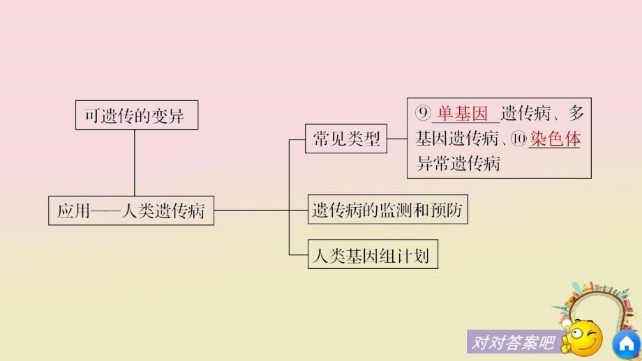 2017-2018学年高中生物 第五章 基因突变及其他变异章末整合提升课件 新人教版必修2_第5页