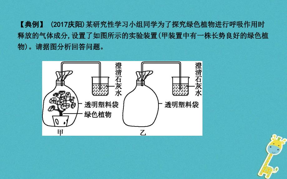 2019年七年级生物上册 第三单元 第4-6章复习课件 （新版）新人教版_第4页