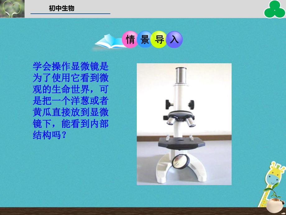 2019年七年级生物上册 第二单元 第一章 第二节 植物细胞教学课件 （新版）新人教版_第2页