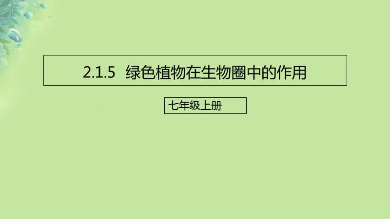 2019年七年级生物上册 2.1.5 绿色植物在生物圈中的作用课件 （新版）济南版_第1页