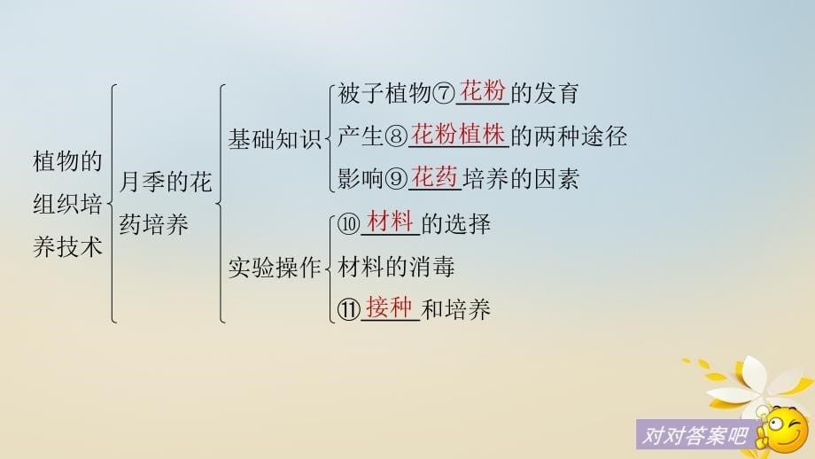 2017-2018学年高中生物 专题3 植物的组织培养技术专题整合提升同步备课课件 新人教版选修1_第5页