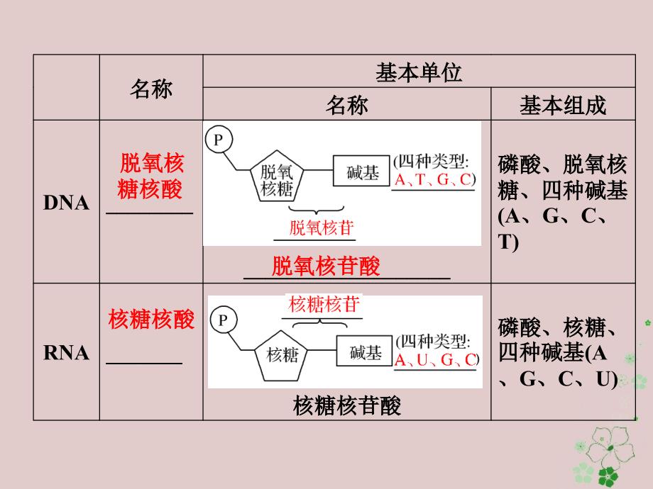 2017-2018学年高中生物 第三章 遗传的分子基础 第12课时 DNA的分子结构和特点同步备课课件 浙科版必修2_第4页