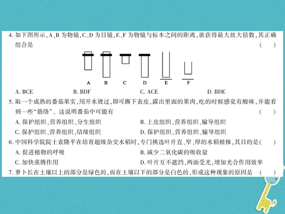 2019年七年级生物上册 期末综合测评卷（一）课件 （新版）北师大版_第3页