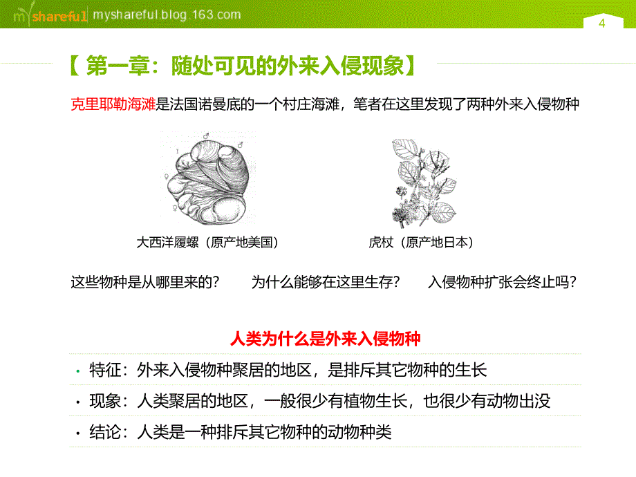 猿猴大爆炸简介_第4页