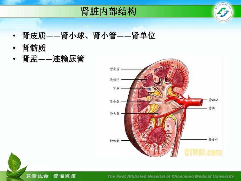 《尿毒症的护理》PPT课件.ppt_第4页