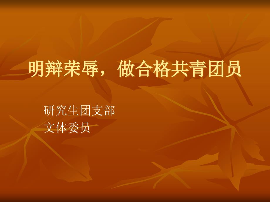 《团干部讲团课》PPT课件.ppt_第1页