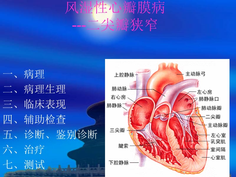 已阅风湿性心瓣膜病ppt课件.ppt_第1页