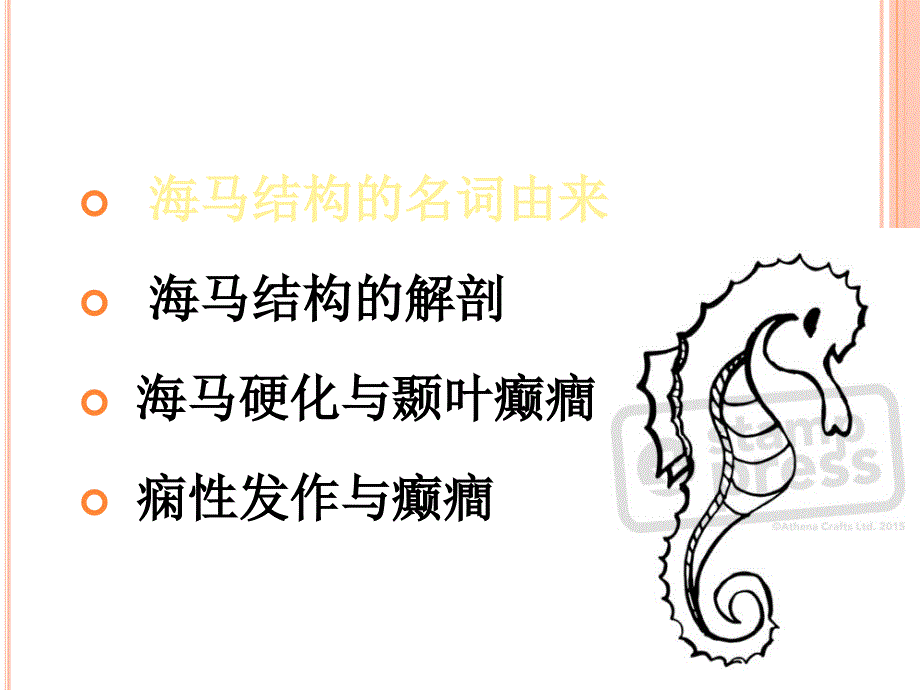 海马结构与癫痫ppt课件.ppt_第3页