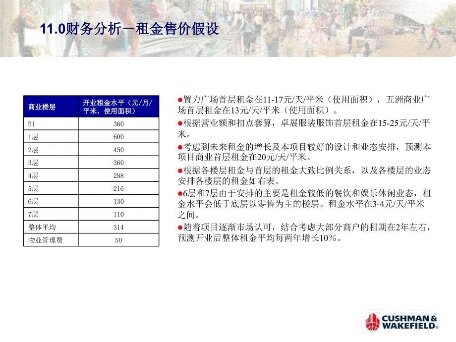 【新编】某市国际城项目提案_第5页