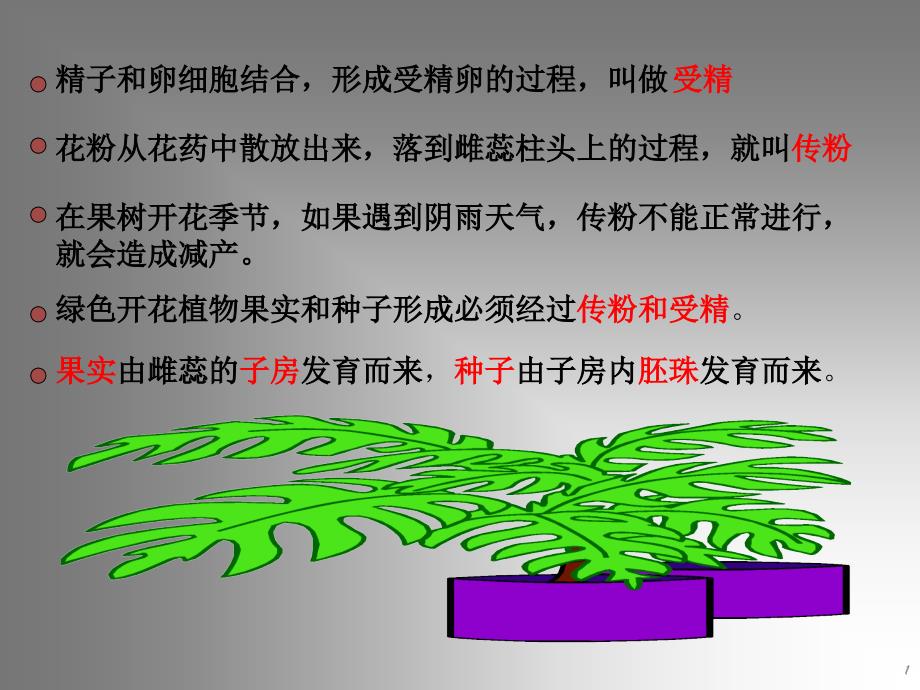 果实和种子的形成ppt课件.ppt_第1页