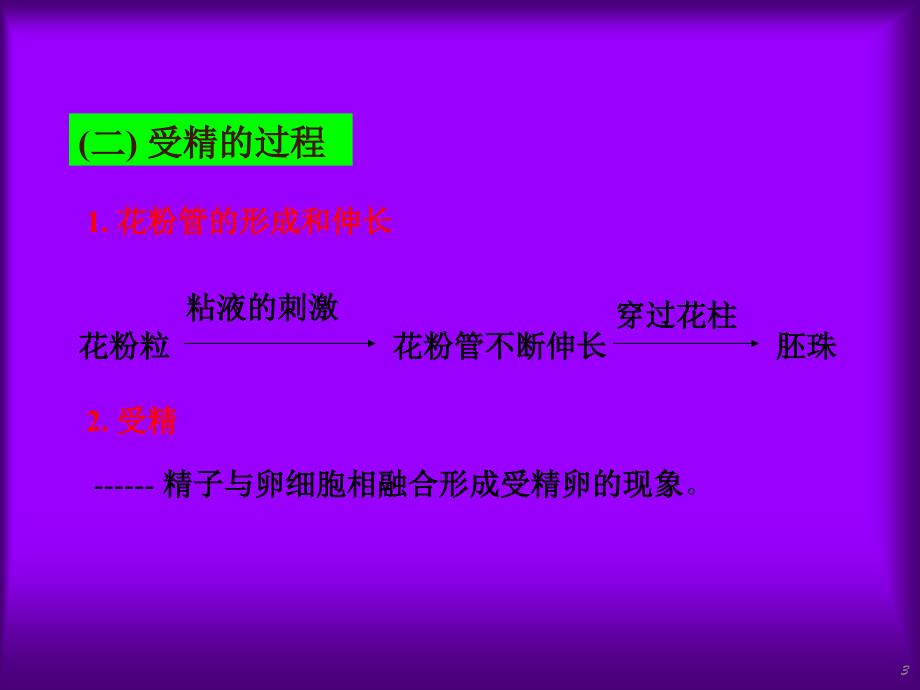 果实和种子的形成ppt课件.ppt_第3页