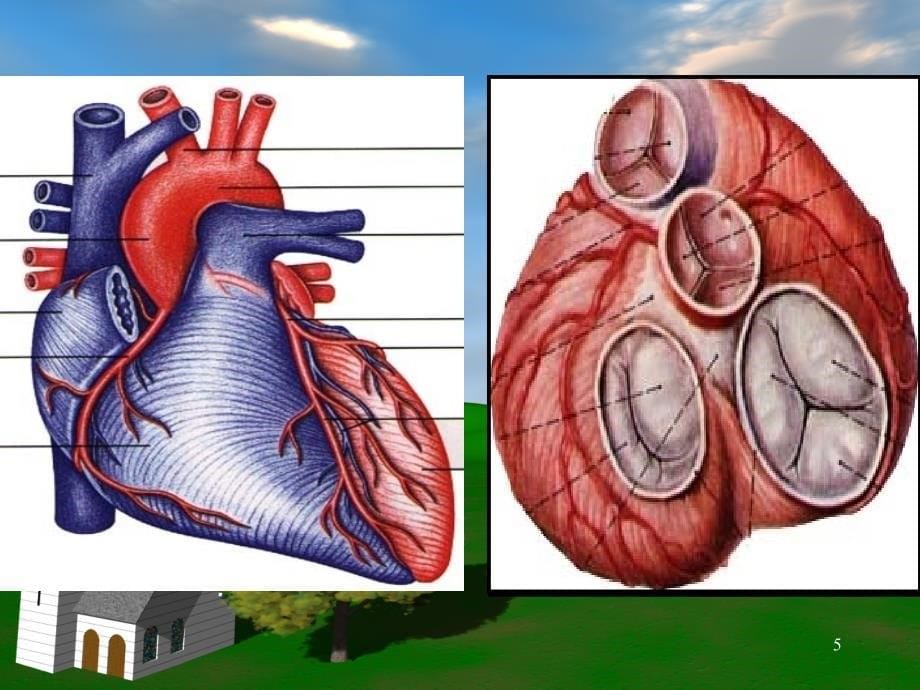 心肌梗死ppt课件 (4).ppt_第5页