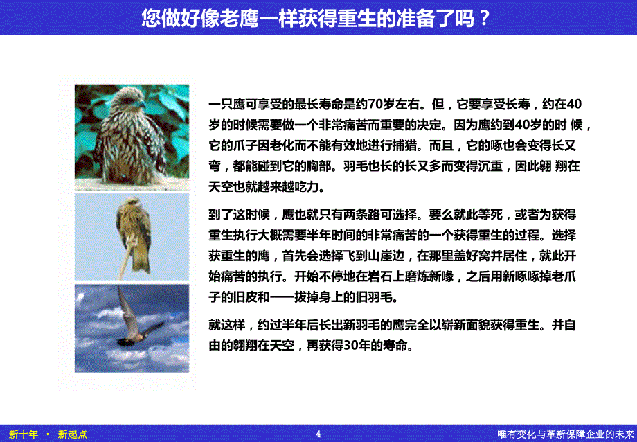 现代企业管理-经营革新(企业内部资料)_第4页