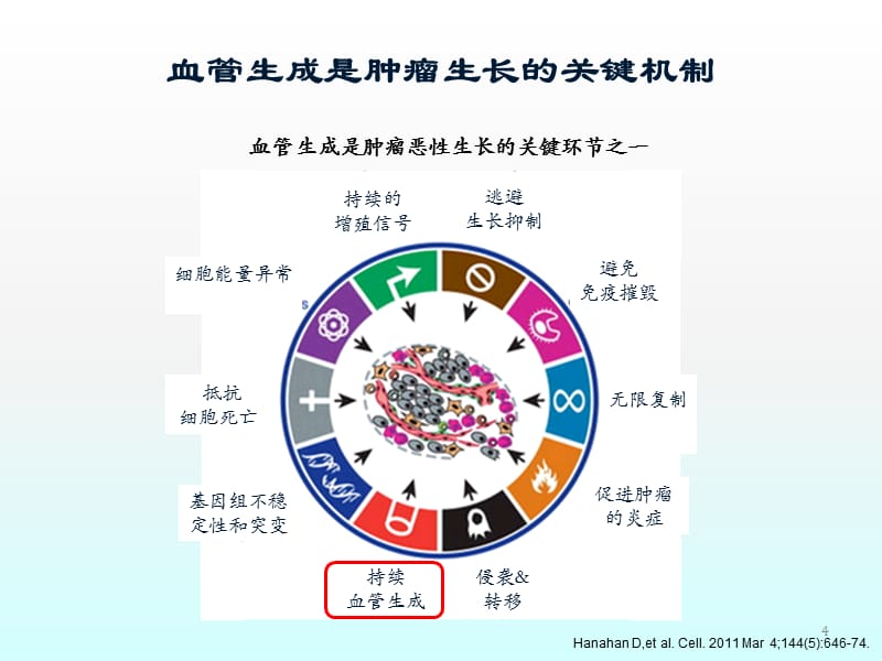 抗血管生成的昨天今天明天ppt课件.pptx_第4页