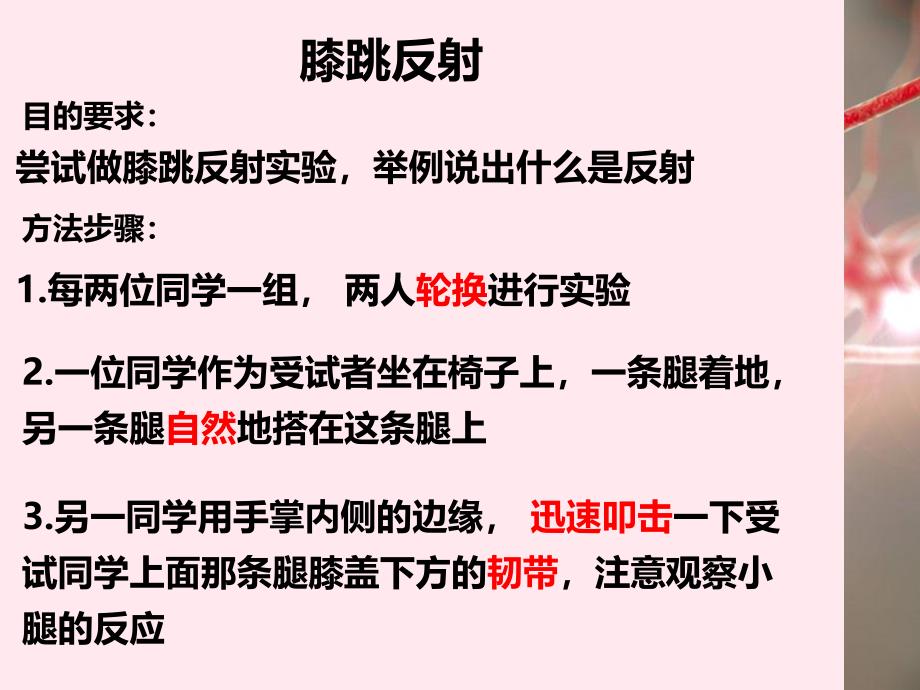 【人教版】2020年春七下生物：神经调节的基本方式课件（1）_第4页