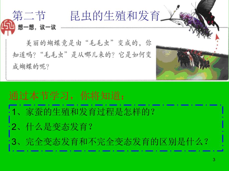 昆虫的生殖和发育比赛上课ppt课件.ppt_第3页