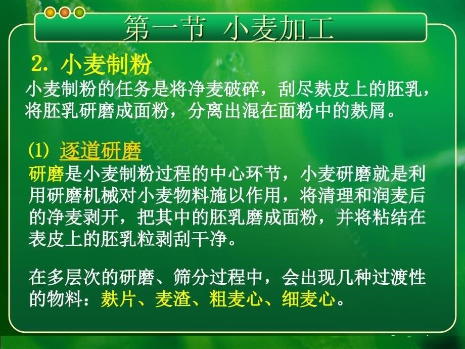 农产品贮藏与加工学 第六章 粮食产品加工_第5页