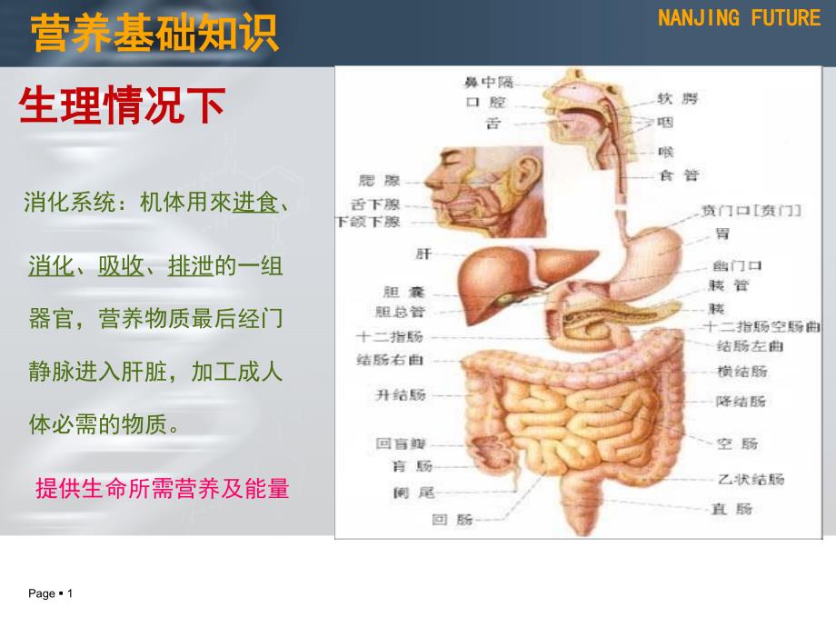 肠管鼻肠管ppt课件.ppt_第1页