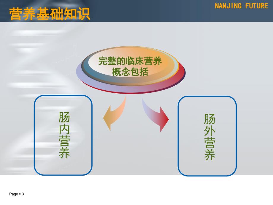 肠管鼻肠管ppt课件.ppt_第3页