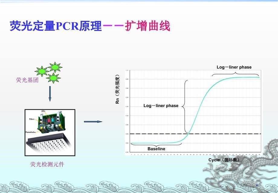 荧光定量PCR原理扩增曲线ppt课件.ppt_第5页