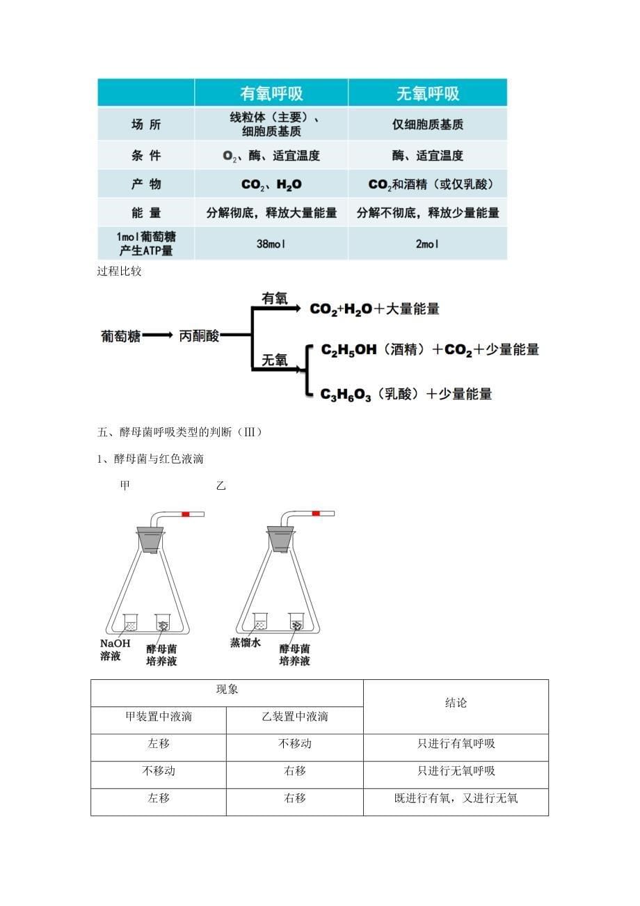 细胞呼吸知识点及练习题教师用(含答案)_第5页