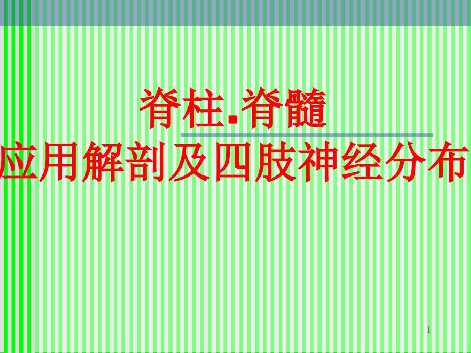 脊柱解剖与神经分布ppt课件.ppt_第1页