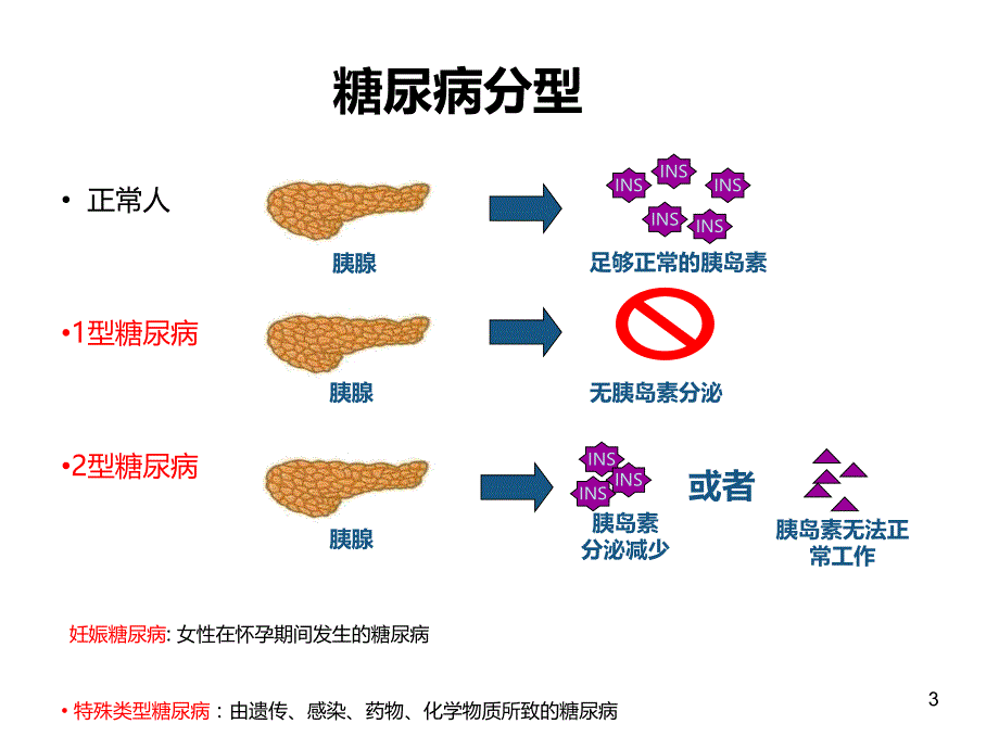 糖尿病健康教育ppt课件 (3).ppt_第3页