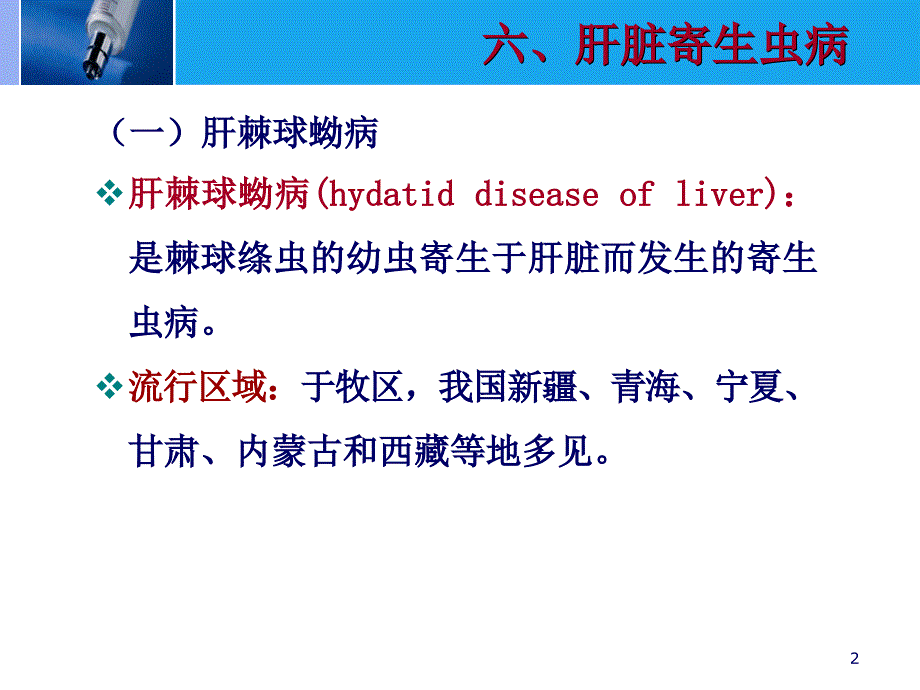 肝脏的CT诊断ppt课件.ppt_第2页