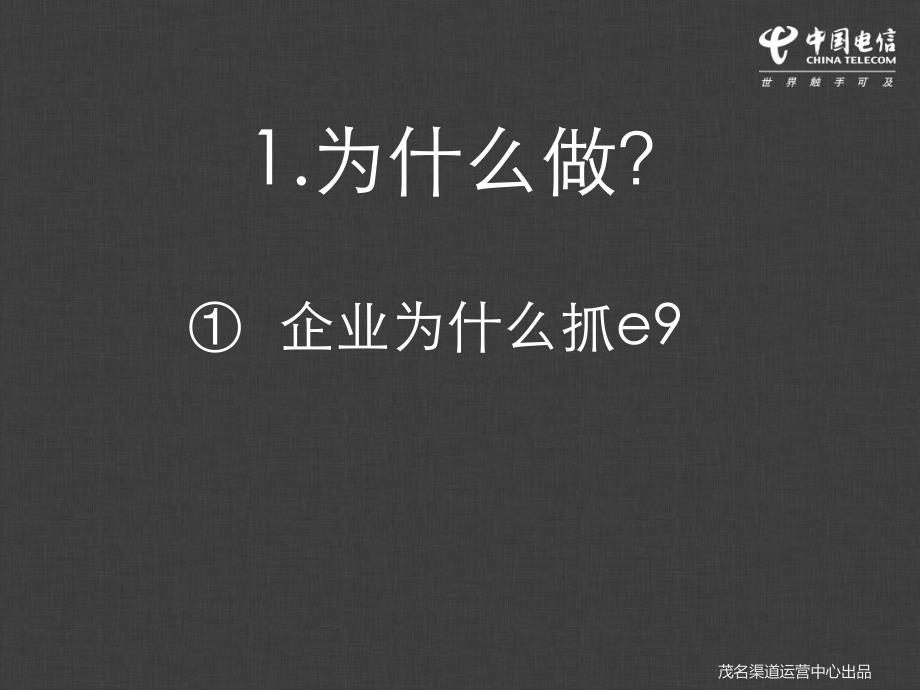 【新编】中国电信自主e9融合套餐销售技巧沟通培训材料_第4页